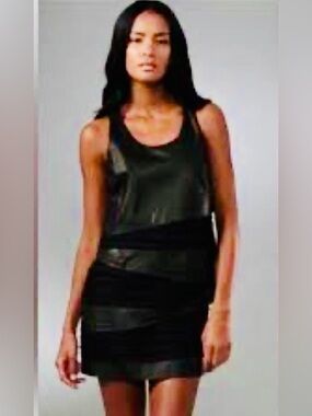 Rag & Bone lamb leather and silk chiffon mini dress. Sz 4. Excellent condition.